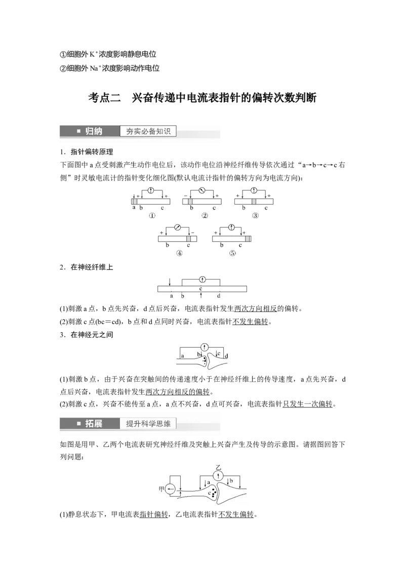 2024年高考生物一轮复习（新人教版）第8单元　第3课时　神经冲动的产生、传导和传递_09高考生物_2024年新高考资料_1.2024一轮复习_2024年高考生物一轮复习讲义（新人教版）