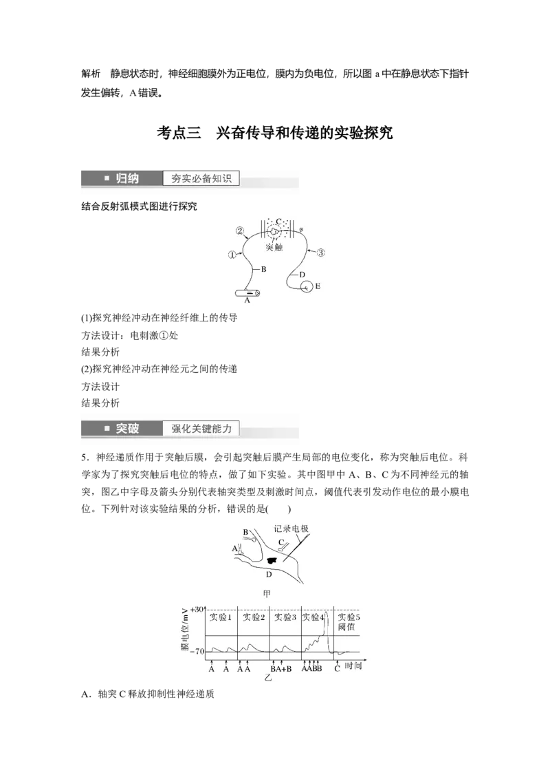 2024年高考生物一轮复习（新人教版）第8单元　第3课时　神经冲动的产生、传导和传递_09高考生物_2024年新高考资料_1.2024一轮复习_2024年高考生物一轮复习讲义（新人教版）