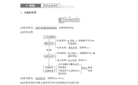 2024年高考生物一轮复习（新人教版）第8单元　第3课时　神经冲动的产生、传导和传递_09高考生物_2024年新高考资料_1.2024一轮复习_2024年高考生物一轮复习讲义（新人教版）