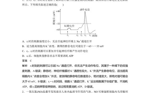 2024年高考生物一轮复习（新人教版）第8单元　第3课时　神经冲动的产生、传导和传递_09高考生物_2024年新高考资料_1.2024一轮复习_2024年高考生物一轮复习讲义（新人教版）