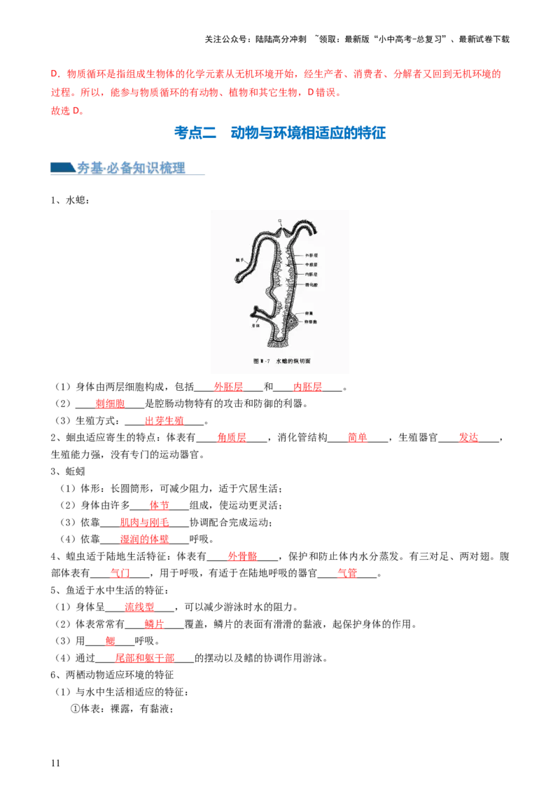 专题16动物的主要类群（讲义）（解析版）_02中考总复习（2026版更新中）_08-生物-中考总复习_2024年中考复习资料_一轮复习_❤2024年中考生物一轮复习讲练测（全国通用）_讲义
