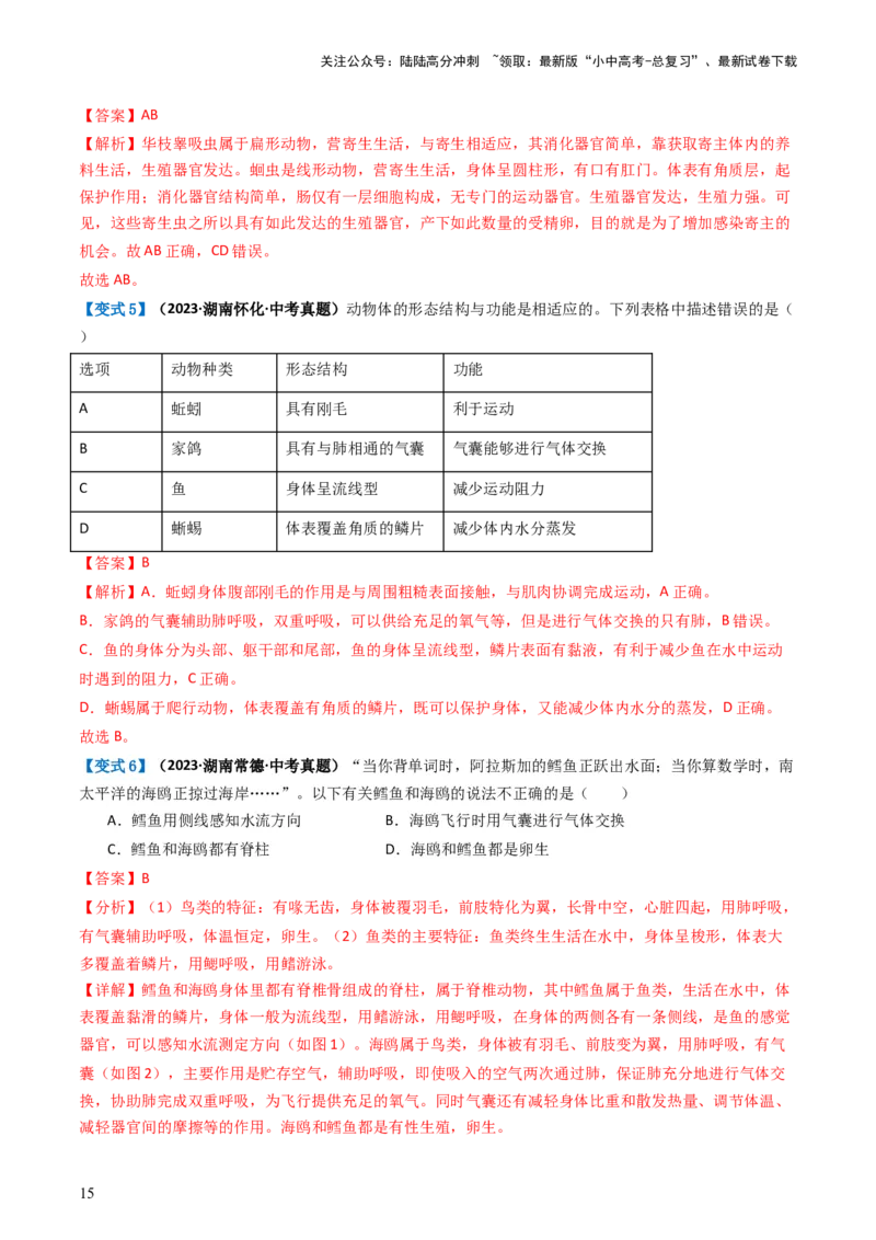 专题16动物的主要类群（讲义）（解析版）_02中考总复习（2026版更新中）_08-生物-中考总复习_2024年中考复习资料_一轮复习_❤2024年中考生物一轮复习讲练测（全国通用）_讲义