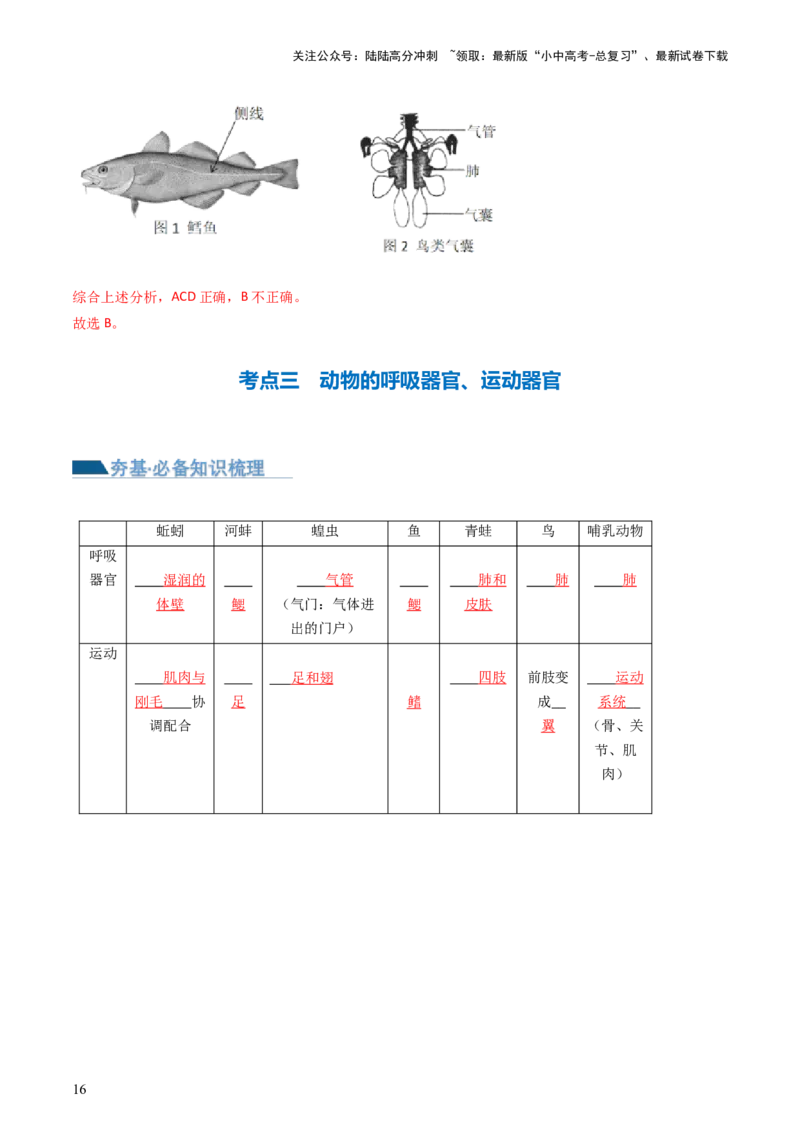 专题16动物的主要类群（讲义）（解析版）_02中考总复习（2026版更新中）_08-生物-中考总复习_2024年中考复习资料_一轮复习_❤2024年中考生物一轮复习讲练测（全国通用）_讲义