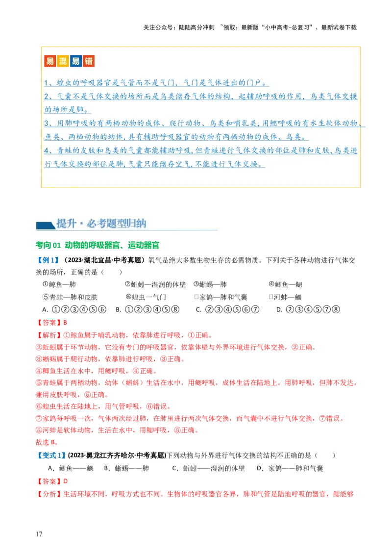 专题16动物的主要类群（讲义）（解析版）_02中考总复习（2026版更新中）_08-生物-中考总复习_2024年中考复习资料_一轮复习_❤2024年中考生物一轮复习讲练测（全国通用）_讲义