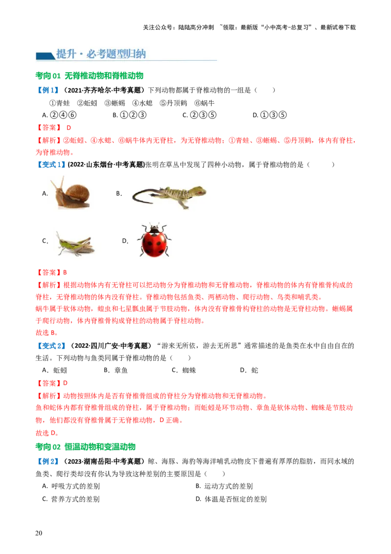 专题16动物的主要类群（讲义）（解析版）_02中考总复习（2026版更新中）_08-生物-中考总复习_2024年中考复习资料_一轮复习_❤2024年中考生物一轮复习讲练测（全国通用）_讲义
