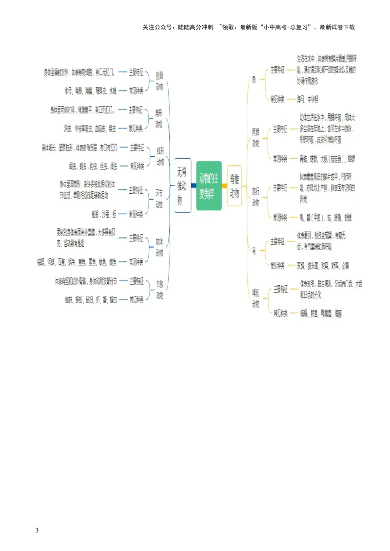 专题16动物的主要类群（讲义）（解析版）_02中考总复习（2026版更新中）_08-生物-中考总复习_2024年中考复习资料_一轮复习_❤2024年中考生物一轮复习讲练测（全国通用）_讲义
