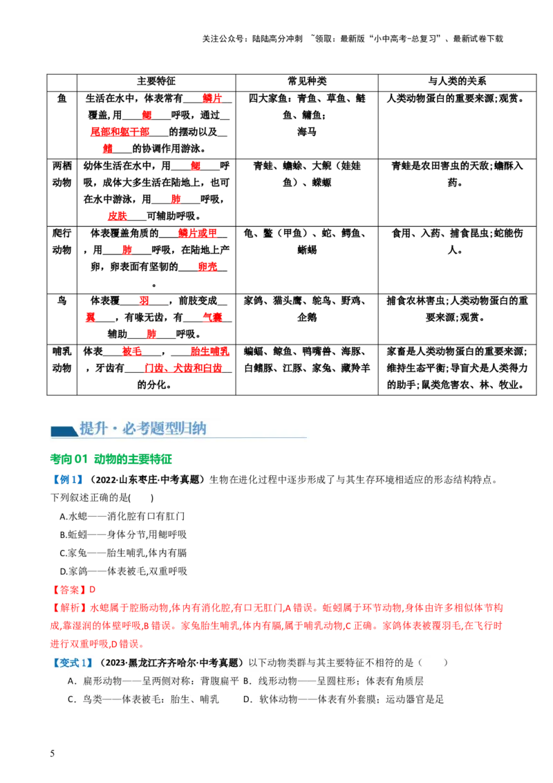 专题16动物的主要类群（讲义）（解析版）_02中考总复习（2026版更新中）_08-生物-中考总复习_2024年中考复习资料_一轮复习_❤2024年中考生物一轮复习讲练测（全国通用）_讲义
