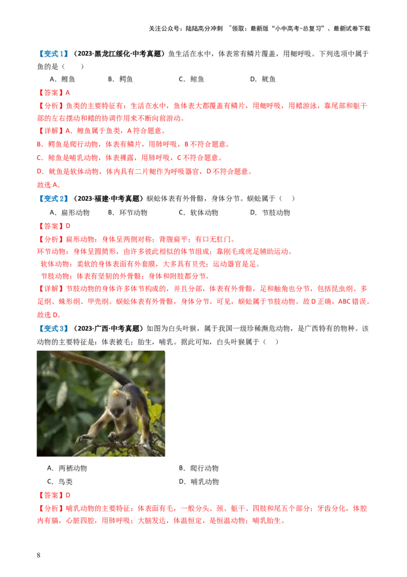 专题16动物的主要类群（讲义）（解析版）_02中考总复习（2026版更新中）_08-生物-中考总复习_2024年中考复习资料_一轮复习_❤2024年中考生物一轮复习讲练测（全国通用）_讲义