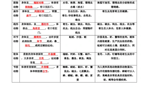 专题16动物的主要类群（讲义）（解析版）_02中考总复习（2026版更新中）_08-生物-中考总复习_2024年中考复习资料_一轮复习_❤2024年中考生物一轮复习讲练测（全国通用）_讲义