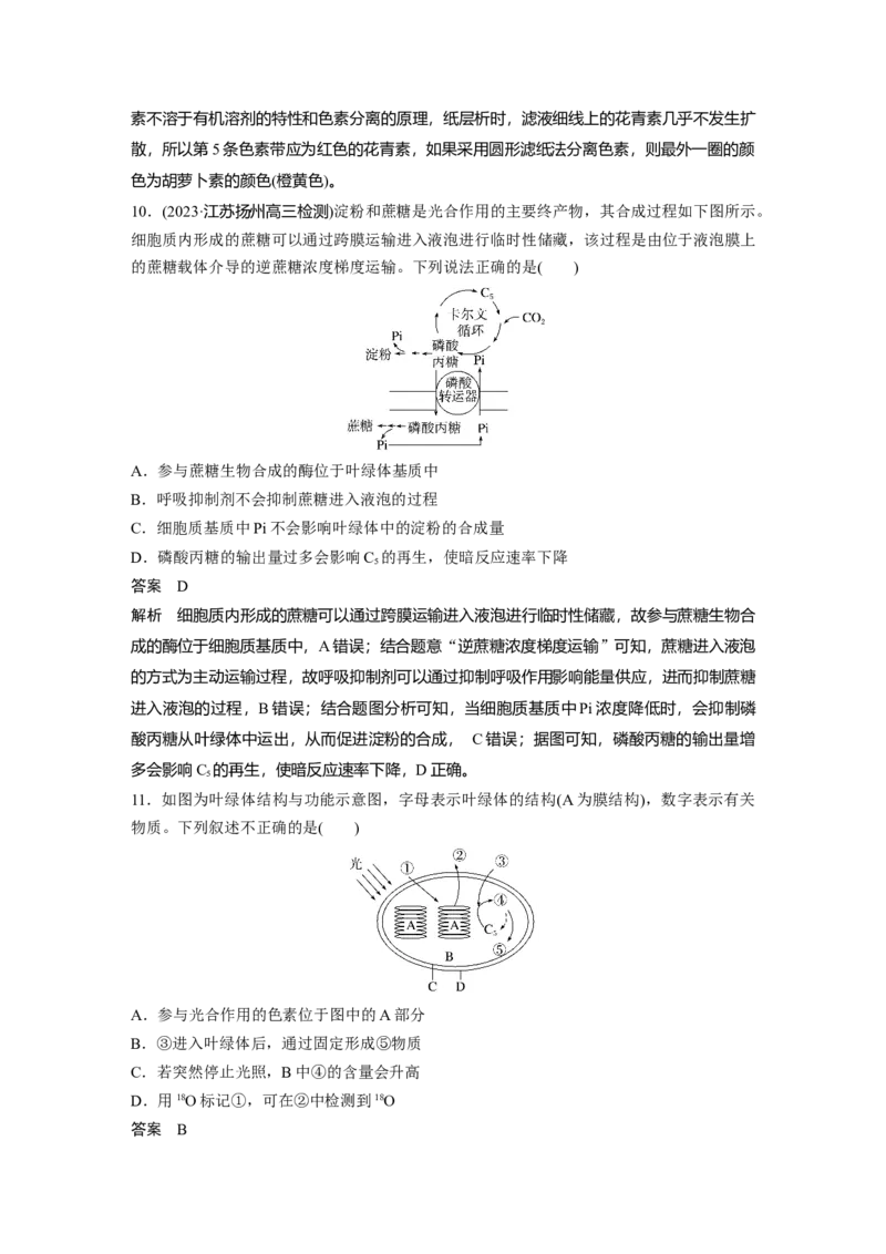 2024年高考生物一轮复习（新人教版）第3单元　第5课时　捕获光能的色素和结构及光合作用的原理_09高考生物_2024年新高考资料_1.2024一轮复习_2024年高考生物一轮复习讲义（新人教版）