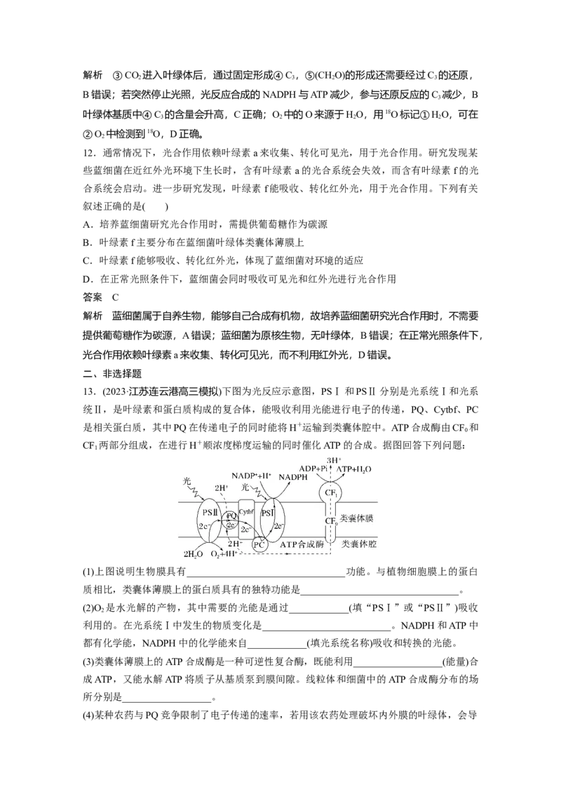 2024年高考生物一轮复习（新人教版）第3单元　第5课时　捕获光能的色素和结构及光合作用的原理_09高考生物_2024年新高考资料_1.2024一轮复习_2024年高考生物一轮复习讲义（新人教版）