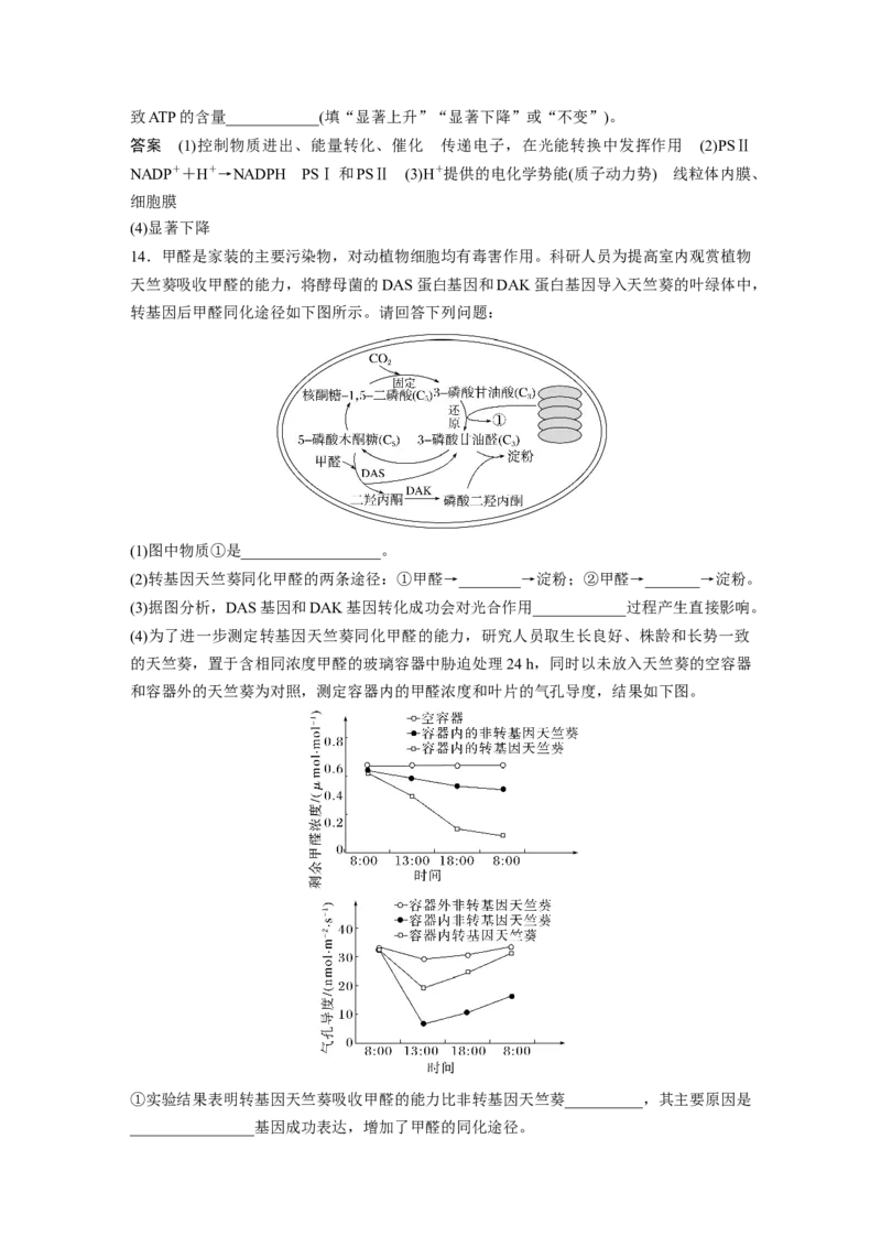 2024年高考生物一轮复习（新人教版）第3单元　第5课时　捕获光能的色素和结构及光合作用的原理_09高考生物_2024年新高考资料_1.2024一轮复习_2024年高考生物一轮复习讲义（新人教版）
