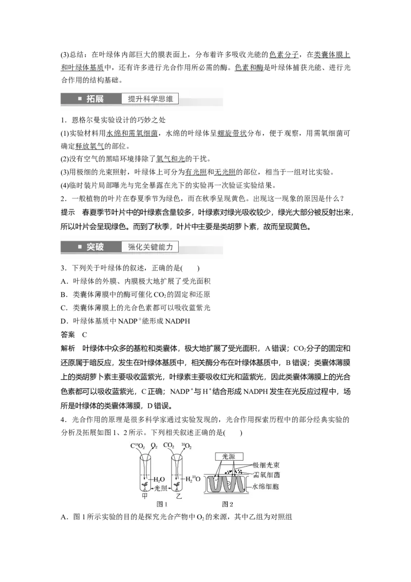 2024年高考生物一轮复习（新人教版）第3单元　第5课时　捕获光能的色素和结构及光合作用的原理_09高考生物_2024年新高考资料_1.2024一轮复习_2024年高考生物一轮复习讲义（新人教版）