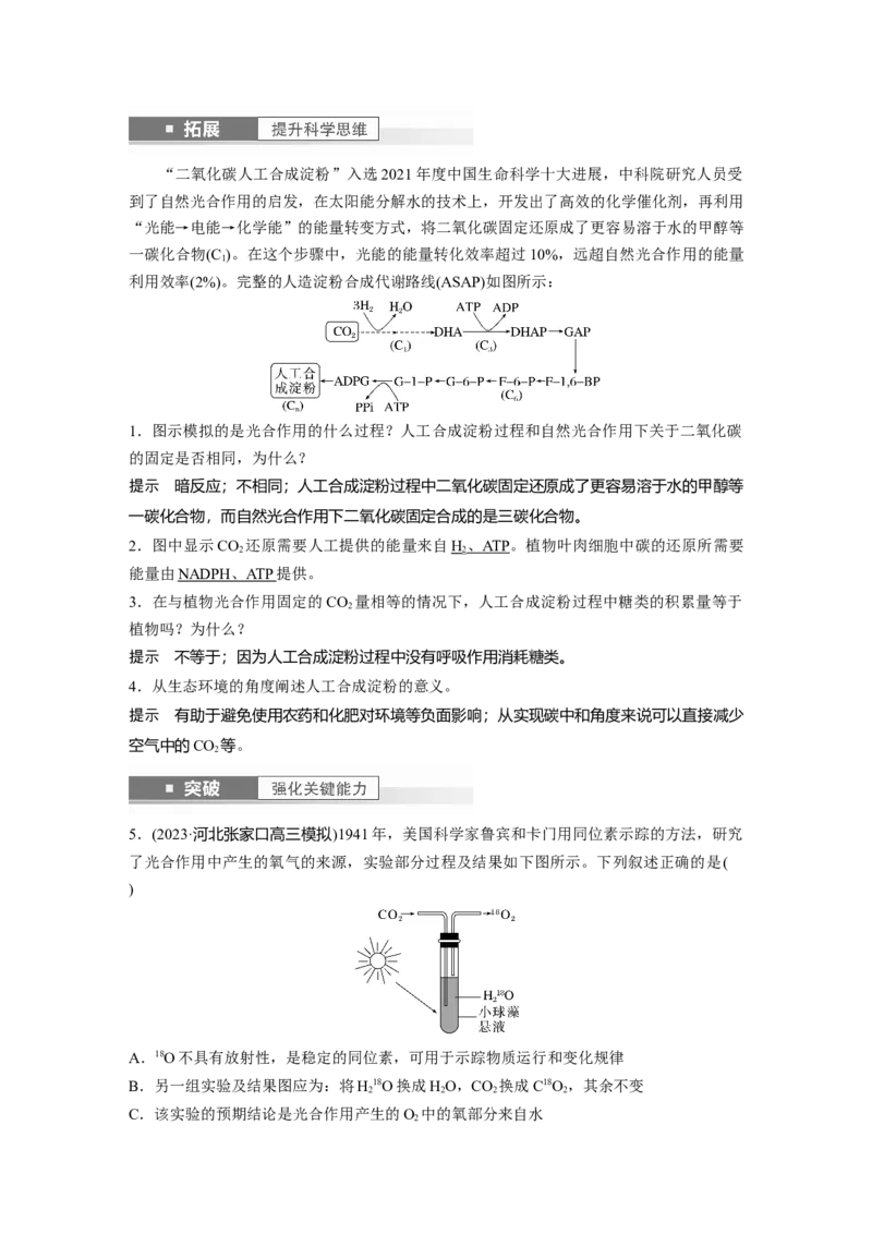 2024年高考生物一轮复习（新人教版）第3单元　第5课时　捕获光能的色素和结构及光合作用的原理_09高考生物_2024年新高考资料_1.2024一轮复习_2024年高考生物一轮复习讲义（新人教版）