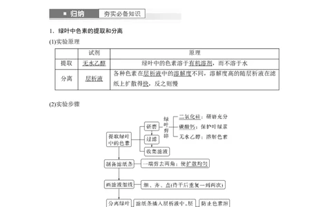 2024年高考生物一轮复习（新人教版）第3单元　第5课时　捕获光能的色素和结构及光合作用的原理_09高考生物_2024年新高考资料_1.2024一轮复习_2024年高考生物一轮复习讲义（新人教版）