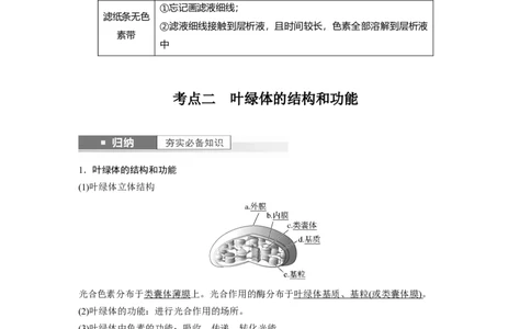 2024年高考生物一轮复习（新人教版）第3单元　第5课时　捕获光能的色素和结构及光合作用的原理_09高考生物_2024年新高考资料_1.2024一轮复习_2024年高考生物一轮复习讲义（新人教版）