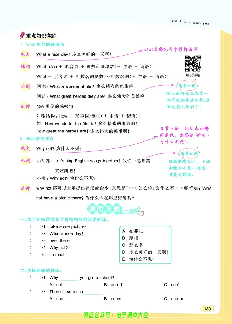 英语5A_26春四年级上下册人教版_四上英语合集人教版PEP英语四年级上册新教材（教学视频+课件+动画+音频+练习+教案）_17练习资料_小学英语（预习复习资料大礼包）_《教材一点通》