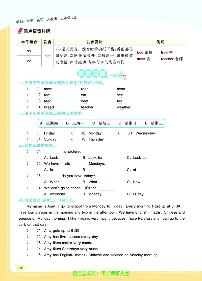 英语5A_26春四年级上下册人教版_四上英语合集人教版PEP英语四年级上册新教材（教学视频+课件+动画+音频+练习+教案）_17练习资料_小学英语（预习复习资料大礼包）_《教材一点通》