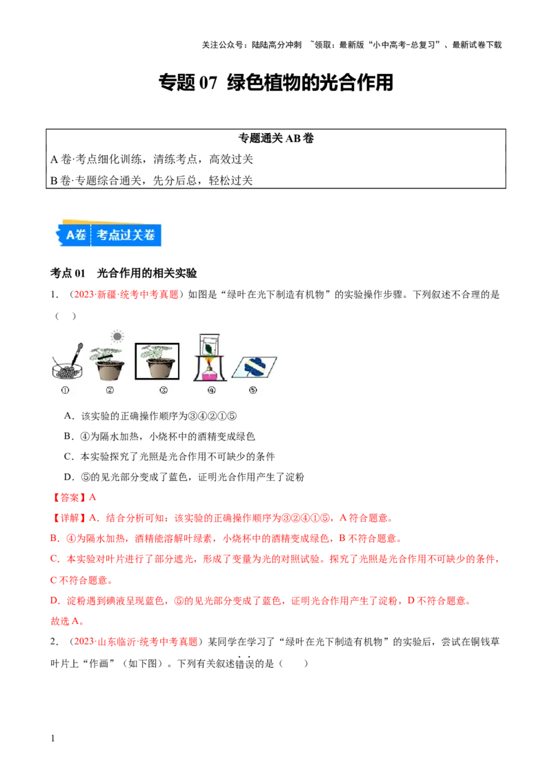 专题07绿色植物的光合作用（解析版）_02中考总复习（2026版更新中）_08-生物-中考总复习_2024年中考复习资料_一轮复习_❤备战2024年中考生物一轮复习考点帮（全国通用）_练习
