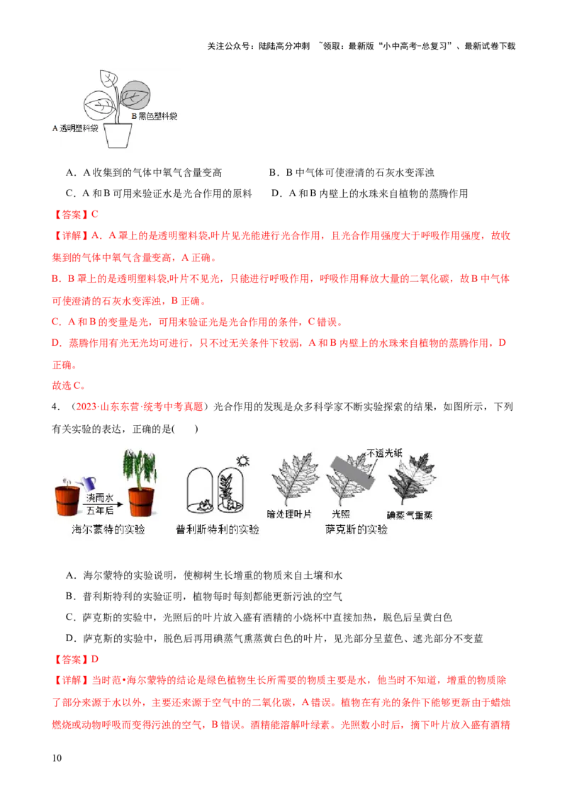 专题07绿色植物的光合作用（解析版）_02中考总复习（2026版更新中）_08-生物-中考总复习_2024年中考复习资料_一轮复习_❤备战2024年中考生物一轮复习考点帮（全国通用）_练习