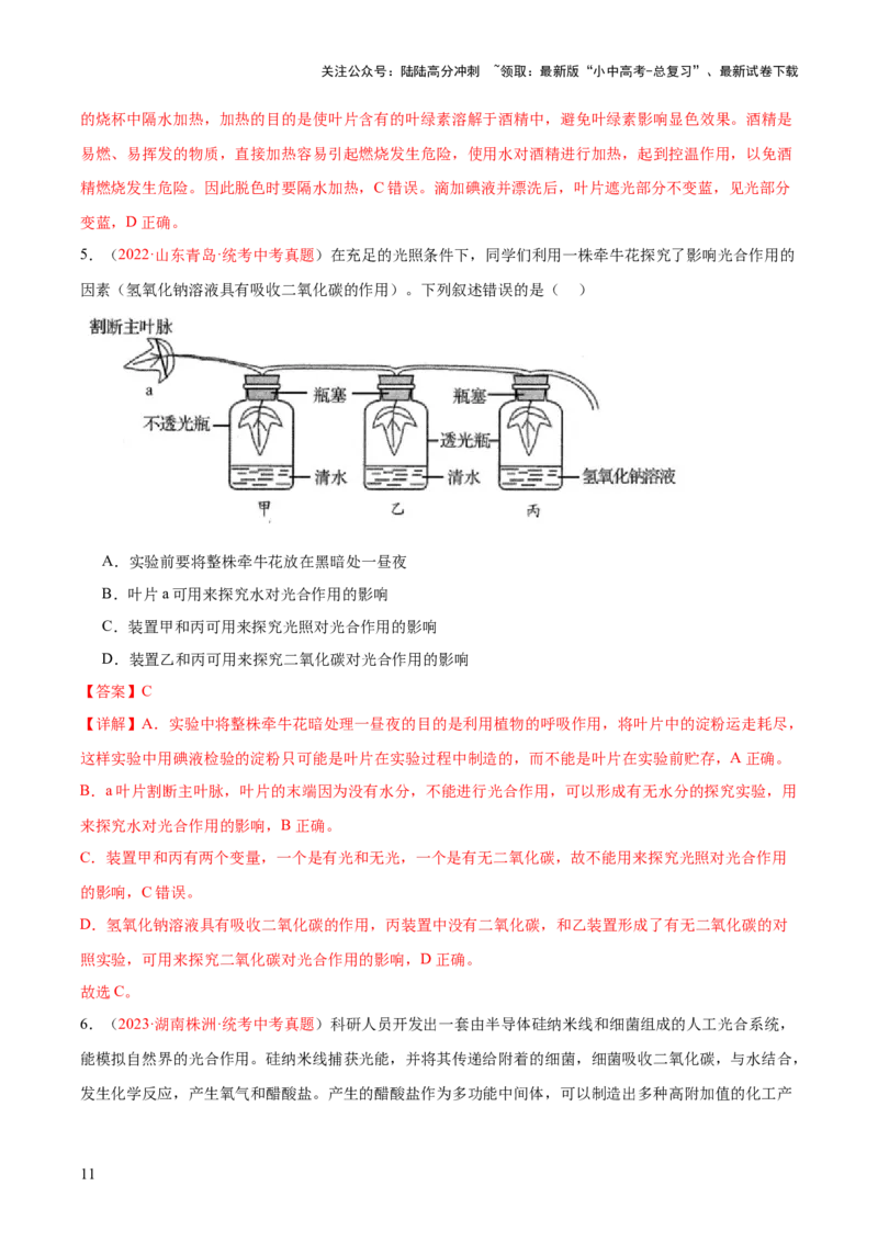 专题07绿色植物的光合作用（解析版）_02中考总复习（2026版更新中）_08-生物-中考总复习_2024年中考复习资料_一轮复习_❤备战2024年中考生物一轮复习考点帮（全国通用）_练习