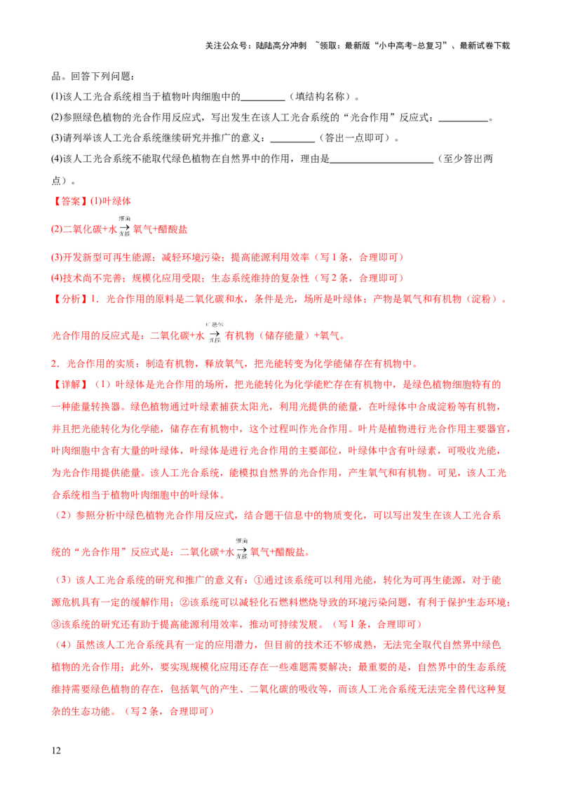 专题07绿色植物的光合作用（解析版）_02中考总复习（2026版更新中）_08-生物-中考总复习_2024年中考复习资料_一轮复习_❤备战2024年中考生物一轮复习考点帮（全国通用）_练习