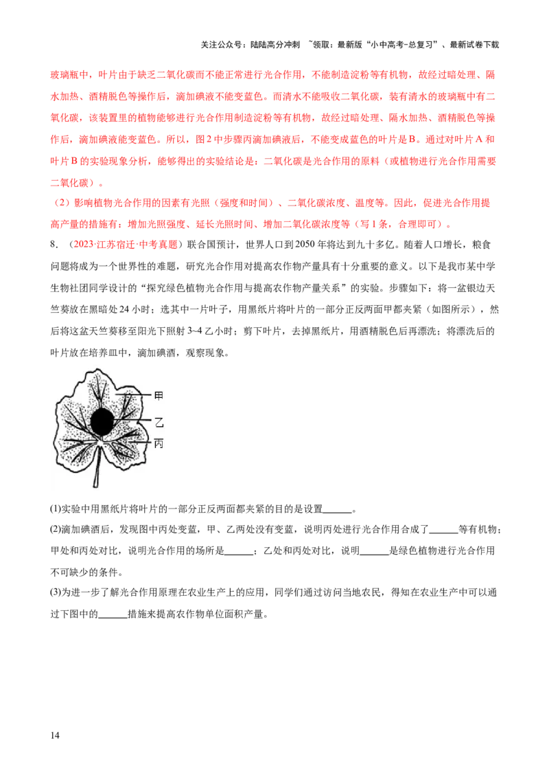 专题07绿色植物的光合作用（解析版）_02中考总复习（2026版更新中）_08-生物-中考总复习_2024年中考复习资料_一轮复习_❤备战2024年中考生物一轮复习考点帮（全国通用）_练习