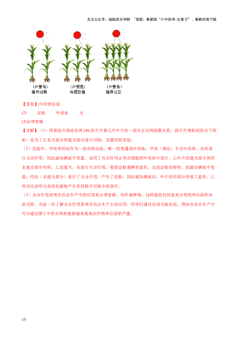 专题07绿色植物的光合作用（解析版）_02中考总复习（2026版更新中）_08-生物-中考总复习_2024年中考复习资料_一轮复习_❤备战2024年中考生物一轮复习考点帮（全国通用）_练习