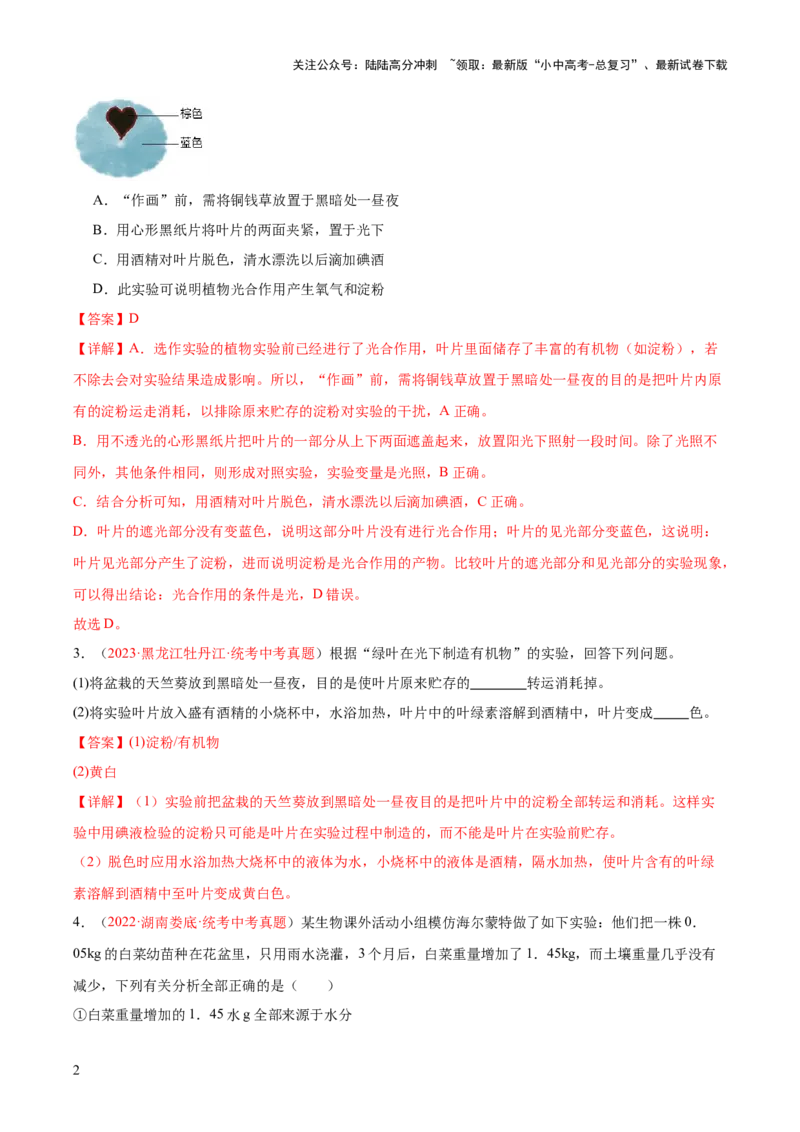 专题07绿色植物的光合作用（解析版）_02中考总复习（2026版更新中）_08-生物-中考总复习_2024年中考复习资料_一轮复习_❤备战2024年中考生物一轮复习考点帮（全国通用）_练习