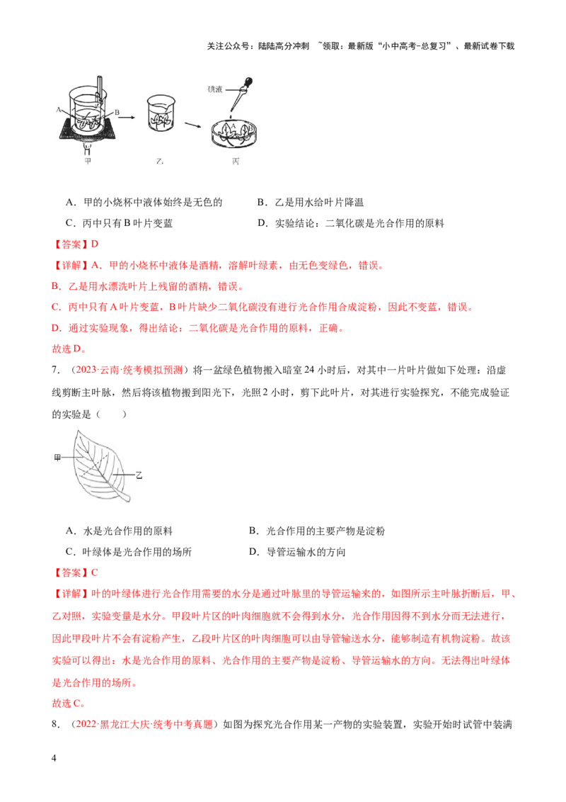 专题07绿色植物的光合作用（解析版）_02中考总复习（2026版更新中）_08-生物-中考总复习_2024年中考复习资料_一轮复习_❤备战2024年中考生物一轮复习考点帮（全国通用）_练习