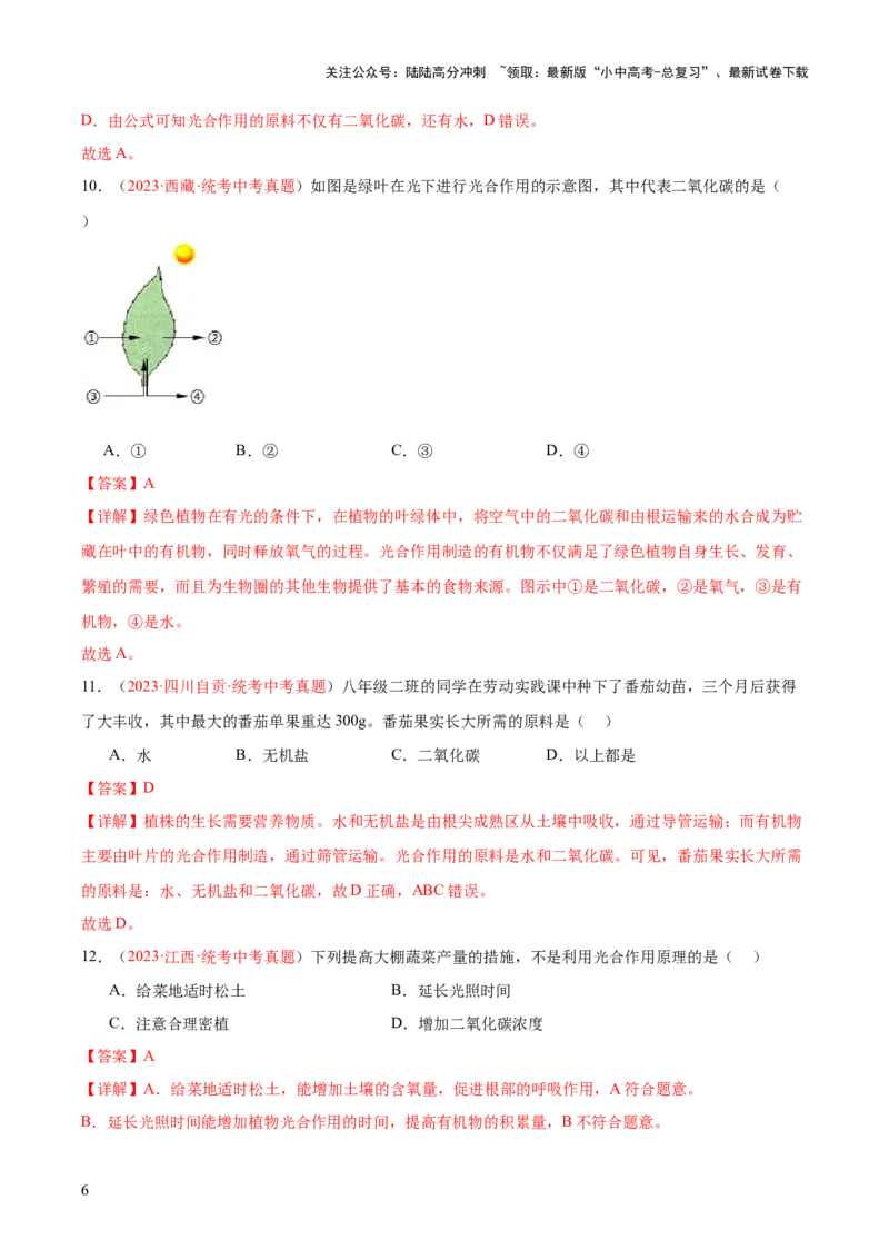 专题07绿色植物的光合作用（解析版）_02中考总复习（2026版更新中）_08-生物-中考总复习_2024年中考复习资料_一轮复习_❤备战2024年中考生物一轮复习考点帮（全国通用）_练习
