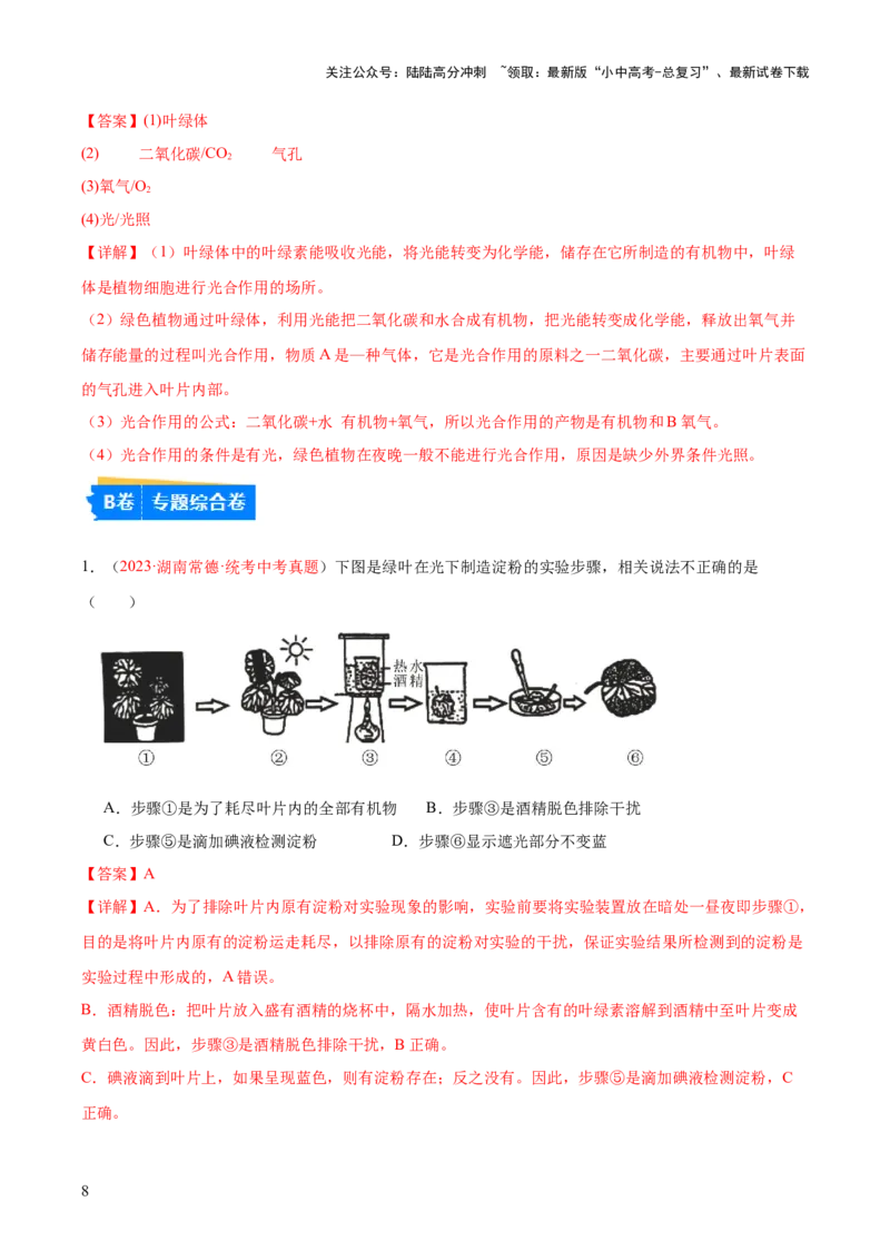 专题07绿色植物的光合作用（解析版）_02中考总复习（2026版更新中）_08-生物-中考总复习_2024年中考复习资料_一轮复习_❤备战2024年中考生物一轮复习考点帮（全国通用）_练习