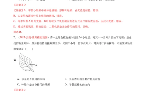 专题07绿色植物的光合作用（解析版）_02中考总复习（2026版更新中）_08-生物-中考总复习_2024年中考复习资料_一轮复习_❤备战2024年中考生物一轮复习考点帮（全国通用）_练习