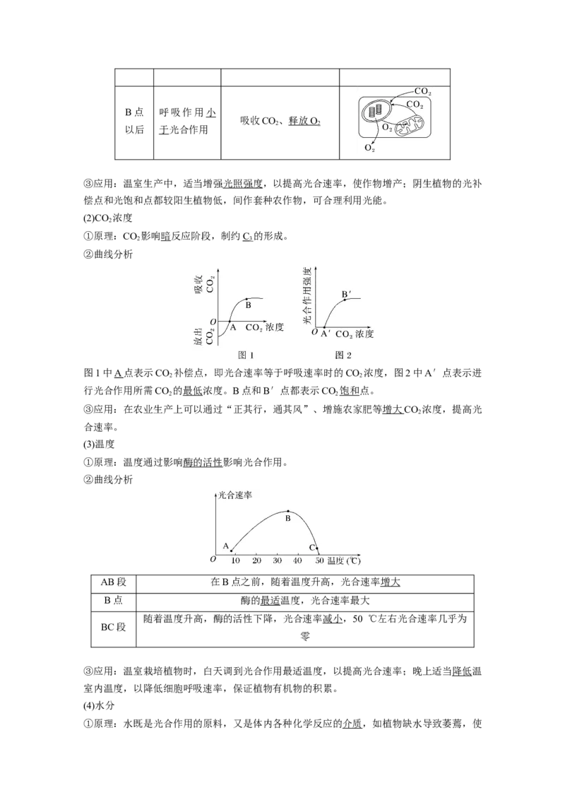 2024年高考生物一轮复习（新人教版）第3单元　第6课时　光合作用的影响因素及其应用_09高考生物_2024年新高考资料_1.2024一轮复习_2024年高考生物一轮复习讲义（新人教版）