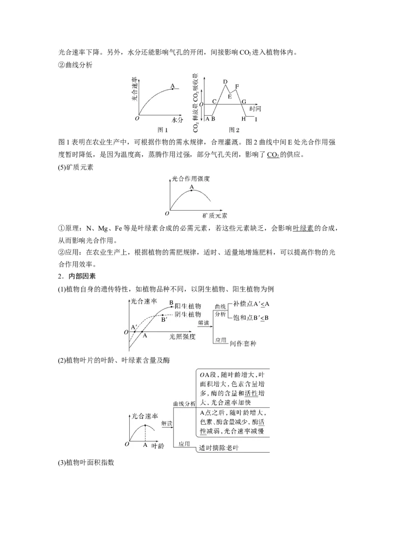 2024年高考生物一轮复习（新人教版）第3单元　第6课时　光合作用的影响因素及其应用_09高考生物_2024年新高考资料_1.2024一轮复习_2024年高考生物一轮复习讲义（新人教版）