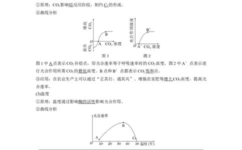 2024年高考生物一轮复习（新人教版）第3单元　第6课时　光合作用的影响因素及其应用_09高考生物_2024年新高考资料_1.2024一轮复习_2024年高考生物一轮复习讲义（新人教版）