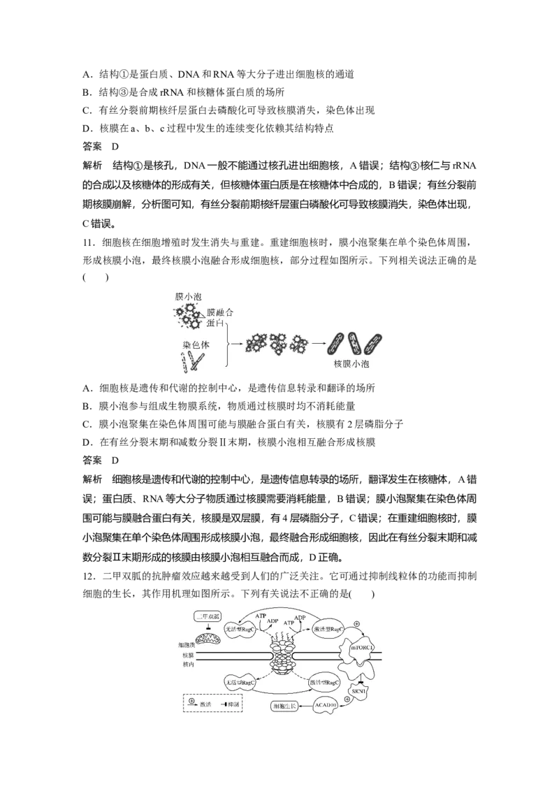2024年高考生物一轮复习（新人教版）第2单元　第3课时　细胞核的结构和功能_09高考生物_2024年新高考资料_1.2024一轮复习_2024年高考生物一轮复习讲义（新人教版）