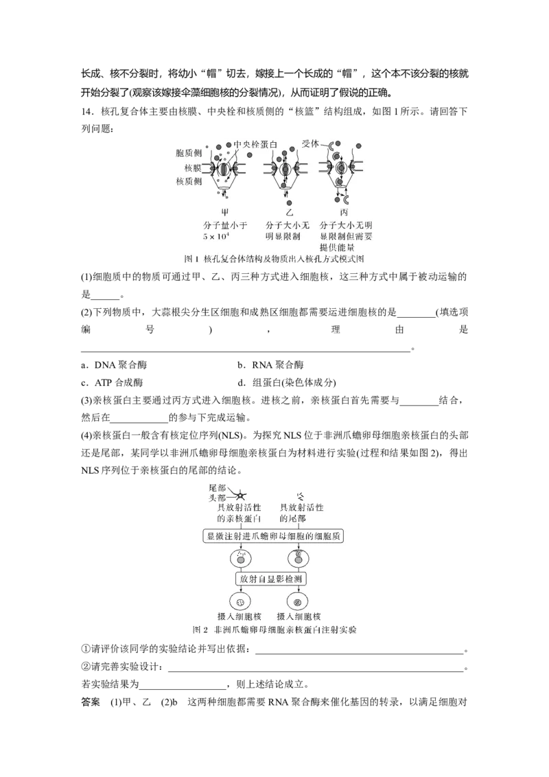 2024年高考生物一轮复习（新人教版）第2单元　第3课时　细胞核的结构和功能_09高考生物_2024年新高考资料_1.2024一轮复习_2024年高考生物一轮复习讲义（新人教版）