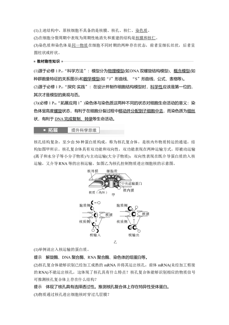 2024年高考生物一轮复习（新人教版）第2单元　第3课时　细胞核的结构和功能_09高考生物_2024年新高考资料_1.2024一轮复习_2024年高考生物一轮复习讲义（新人教版）