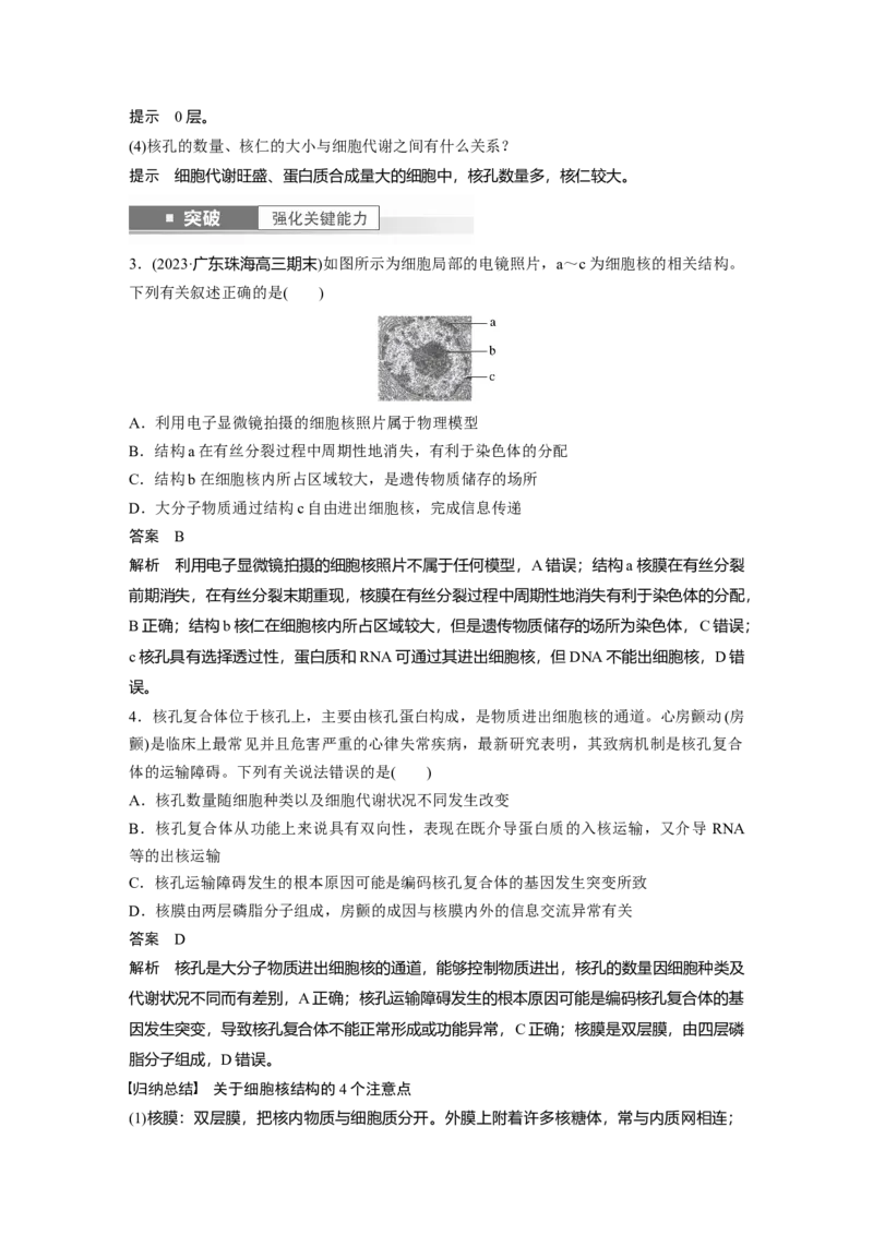 2024年高考生物一轮复习（新人教版）第2单元　第3课时　细胞核的结构和功能_09高考生物_2024年新高考资料_1.2024一轮复习_2024年高考生物一轮复习讲义（新人教版）