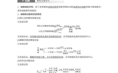 2024年高考生物一轮复习（新人教版）第2单元　第3课时　细胞核的结构和功能_09高考生物_2024年新高考资料_1.2024一轮复习_2024年高考生物一轮复习讲义（新人教版）