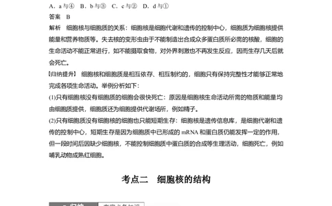 2024年高考生物一轮复习（新人教版）第2单元　第3课时　细胞核的结构和功能_09高考生物_2024年新高考资料_1.2024一轮复习_2024年高考生物一轮复习讲义（新人教版）