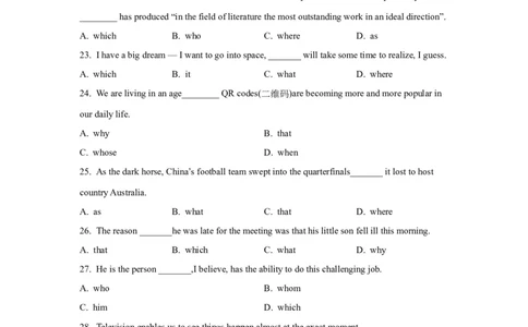 12定语从句(精练)-2024年高考英语一轮复习语法能力突破必备(PPT+复习卡+精练题)(通用版)_03高考英语_通用版（老高考）复习资料_2024年复习资料_12.定语从句(PPT+复习卡+精练题)(通用版)
