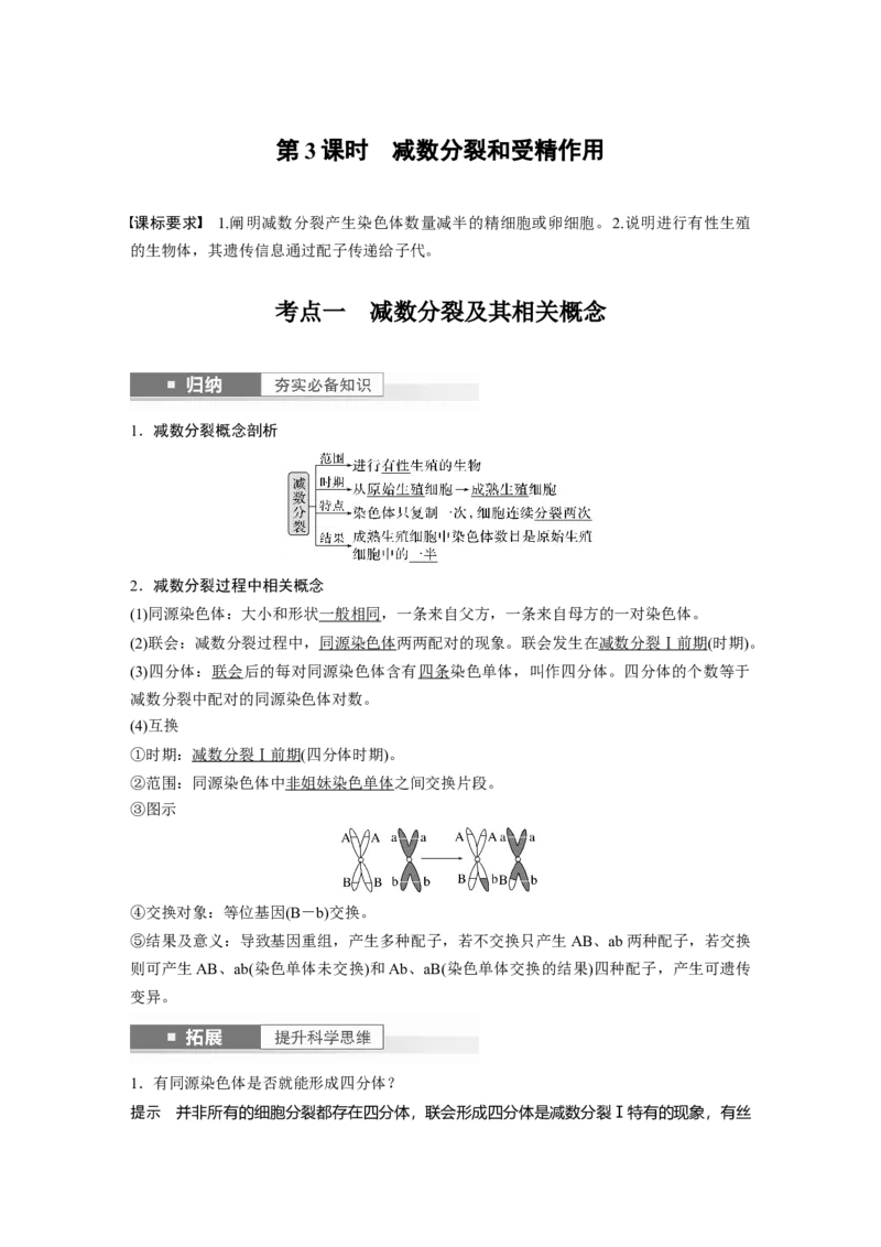 2024年高考生物一轮复习（新人教版）第4单元　第3课时　减数分裂和受精作用_09高考生物_2024年新高考资料_1.2024一轮复习_2024年高考生物一轮复习讲义（新人教版）