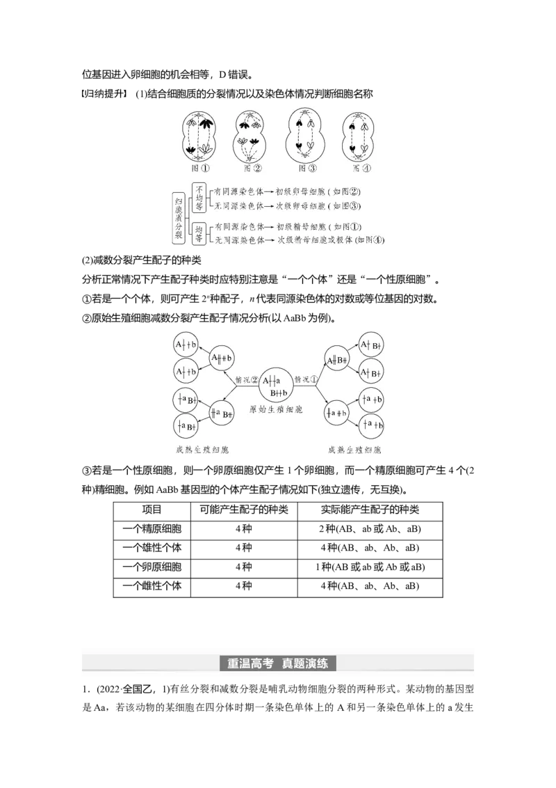 2024年高考生物一轮复习（新人教版）第4单元　第3课时　减数分裂和受精作用_09高考生物_2024年新高考资料_1.2024一轮复习_2024年高考生物一轮复习讲义（新人教版）
