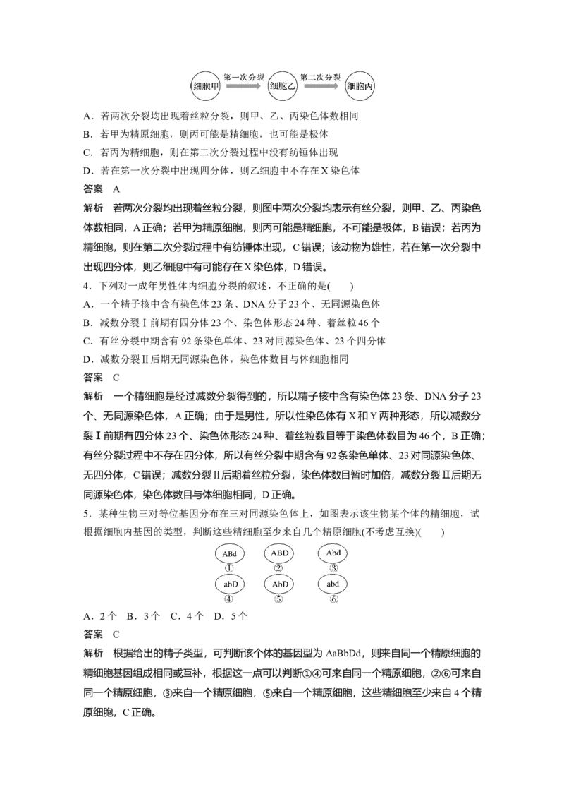 2024年高考生物一轮复习（新人教版）第4单元　第3课时　减数分裂和受精作用_09高考生物_2024年新高考资料_1.2024一轮复习_2024年高考生物一轮复习讲义（新人教版）