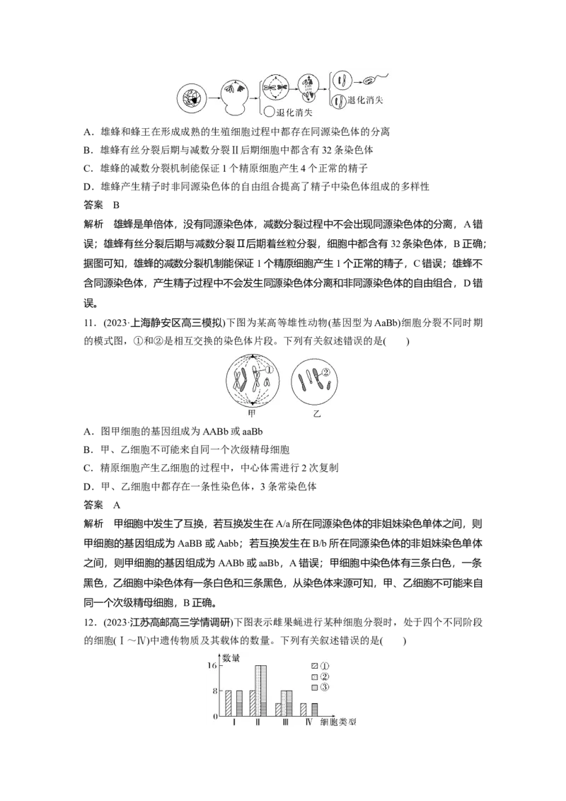 2024年高考生物一轮复习（新人教版）第4单元　第3课时　减数分裂和受精作用_09高考生物_2024年新高考资料_1.2024一轮复习_2024年高考生物一轮复习讲义（新人教版）