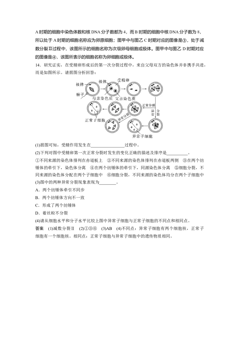 2024年高考生物一轮复习（新人教版）第4单元　第3课时　减数分裂和受精作用_09高考生物_2024年新高考资料_1.2024一轮复习_2024年高考生物一轮复习讲义（新人教版）