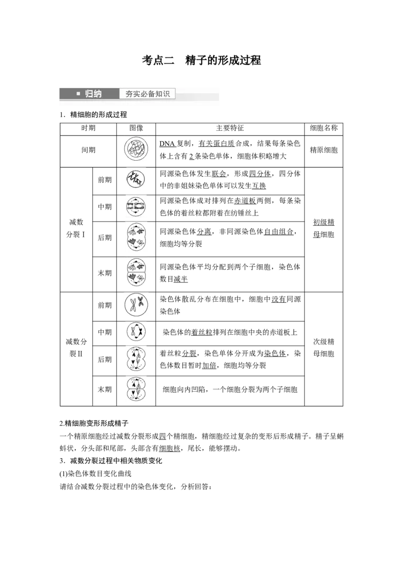 2024年高考生物一轮复习（新人教版）第4单元　第3课时　减数分裂和受精作用_09高考生物_2024年新高考资料_1.2024一轮复习_2024年高考生物一轮复习讲义（新人教版）