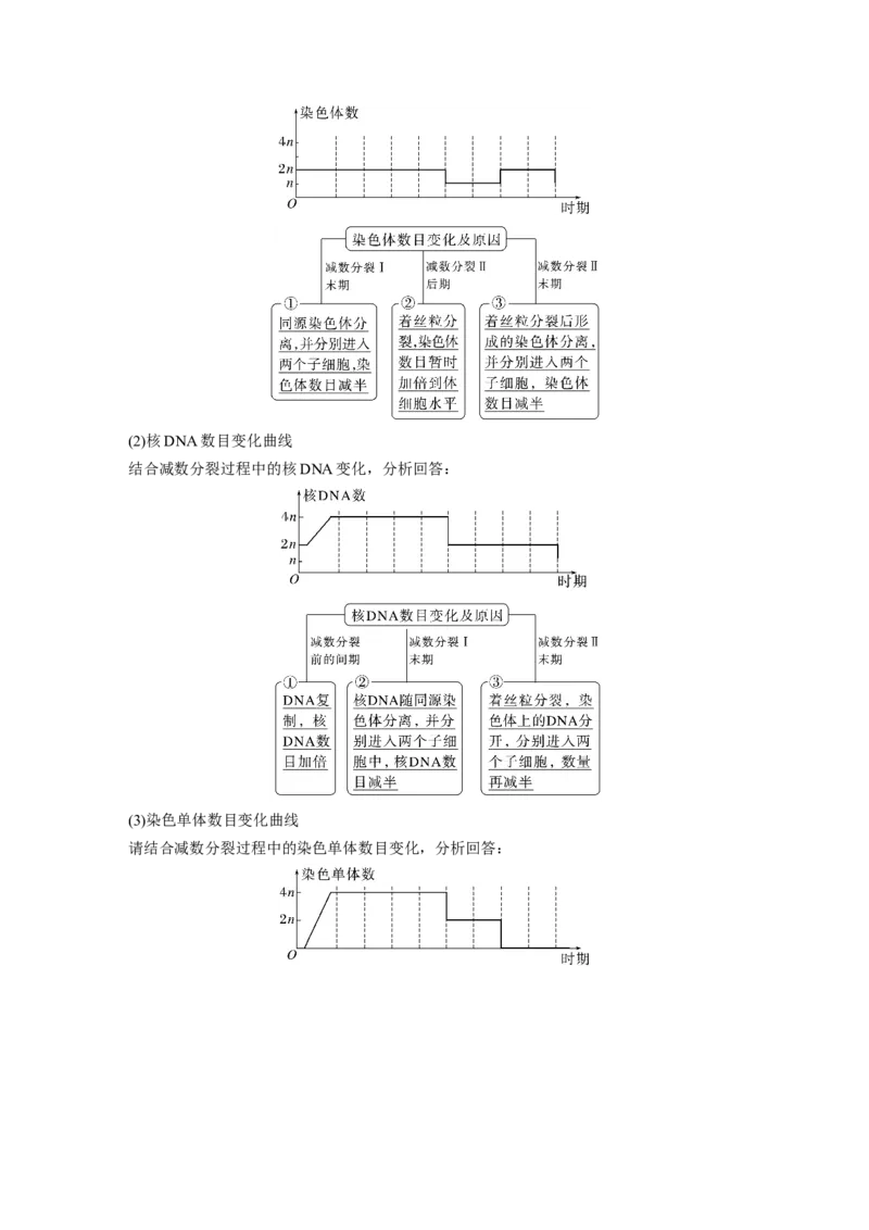 2024年高考生物一轮复习（新人教版）第4单元　第3课时　减数分裂和受精作用_09高考生物_2024年新高考资料_1.2024一轮复习_2024年高考生物一轮复习讲义（新人教版）